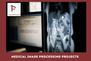 medical image processing phd