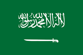 PhD Consultants in Saudi Arabia