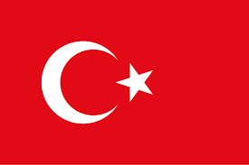 PhD Consultants in Turkey