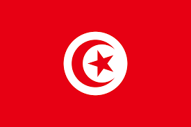 PhD Guidance In Tunisia