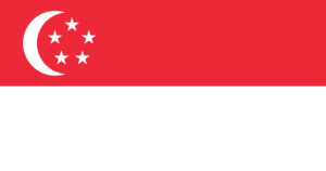 Research paper writers in Singapore